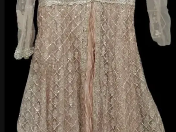 Elegant Blush Pink Embroidered Maxi Dress