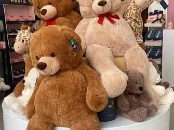 Teddy bears .✨